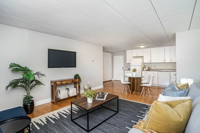 25 Homer Ave unit 31, Cambridge, MA 02138 - photo 5
