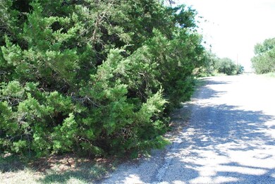 7085 Cedar Valley Dr, Whitney, TX 76692 - photo 7