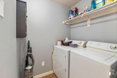 MMP_6481