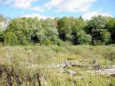 ON Popko Cr E unit Lot 7, Mercer, WI 54547 - photo 5