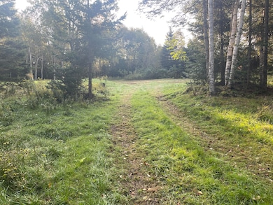 Entering the Home Site Clearing