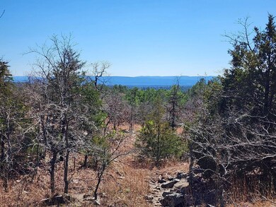 46.1 No Physical Address, Wister, OK 74966 - photo 5