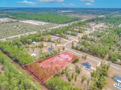 166 Scenic Stream Cir, Crawfordville, FL 32327 - photo 3