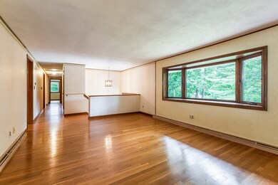 3 Lois Dr, Walpole, MA 02081 - photo 4