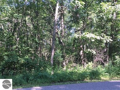 00_VL_13 S Ogemaw Trail unit 13, West Branch, MI 48661 - photo 7