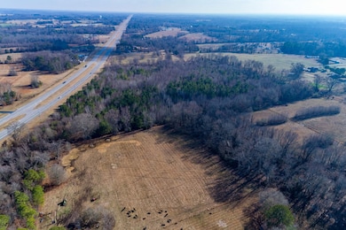 10.23 Acres Alabama 157, Town Creek, AL 35672 - photo 4