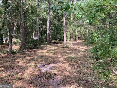 3327 Horseshoe Cove Rd unit LOT 22, Waverly, GA 31565 - photo 7