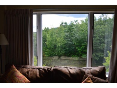 D Snowtree Lane Oaks unit D, Dover, VT 05356 - photo 3