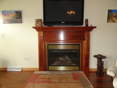 Great Room. Napoleon gas fireplace has an easy on/