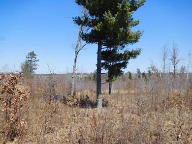 xxx County Road C, Jackson Township, WI 54893 - photo 2