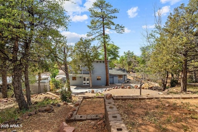 Backyard-4