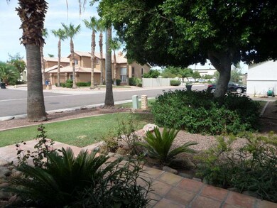 front yard