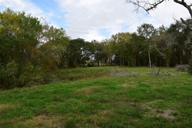 7006 S Oak Bend Dr, Alvin, TX 77511 - photo 6