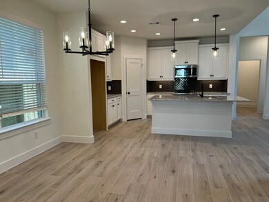 10680 Wild Chives, the Woodlands, TX 77385 - photo 5