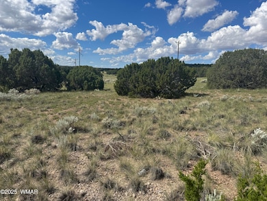 79 Alpine Ln, Concho, AZ 85924 - photo 5