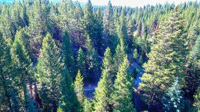 TBD5 Clear Creek Rd, Cascade, ID 83611 - photo 3