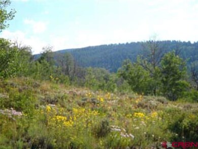 0 Bryant Ave unit 3136, Crested Butte, CO 81224 - photo 5