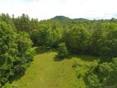 0 Sam Robertson Rd, Cane River, NC 28714 - photo 2