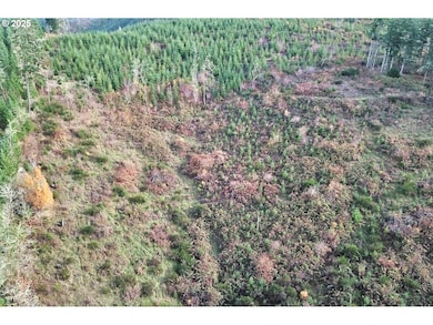 0 SW Eagle Point Rd, Sheridan, OR 97378 - photo 5