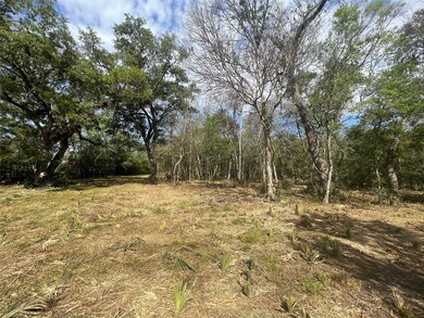 0 Cr 400 Tract 3, Brazoria, TX 77422 - photo 4