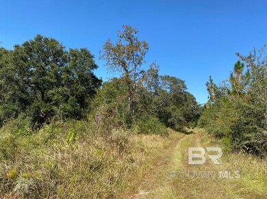 0 Hampton Rd unit 31 376099, Mobile, AL 36608 - photo 4