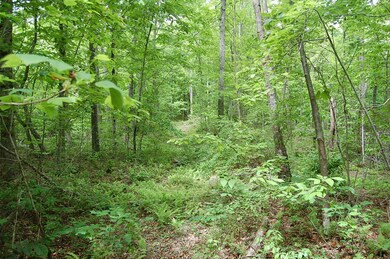 7 Bear Wallow Rd. - 1246393 004