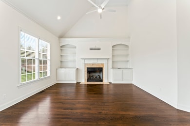 246 Polk Place Dr, Franklin, TN 37064 - photo 6