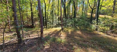 View from cleared area.