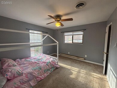 4029 Wayne Route E, Silva, MO 63964 - photo 7