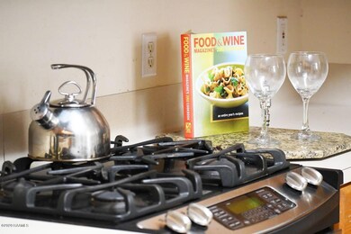 Gas Stove
