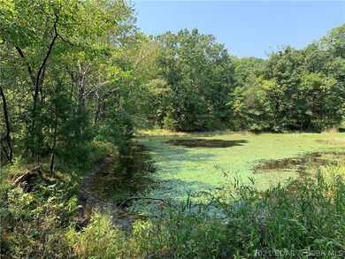 Pond
