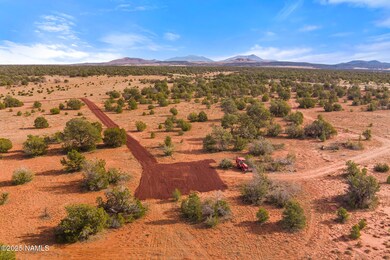 8449 Water Tank Cir unit C, Valle, AZ 86046 - photo 6