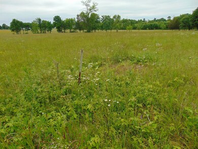 0 Whitaker Rd unit 1732233, Shelbyville, TN 37160 - photo 5