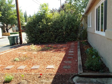 Front yard