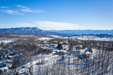 195 Diamond Ct, Harrisonburg, VA 22801 - photo 3