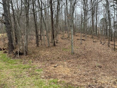 mIul2b2GR7G1eh0p9zs9Vg