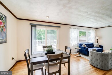 6623 Hulvey Terrace, Alexandria, VA 22306 - photo 7