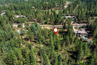 1712-Lot 304 The Point, Meadow Vista, CA 95722 - photo 6