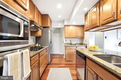 11248 Chestnut Grove Square unit 11248-352, Reston, VA 20190 - photo 7