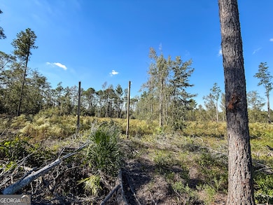 0 Stewart Cemetery Rd, Alma, GA 31510 - photo 7