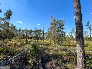 0 Stewart Cemetery Rd unit 10650398, Alma, GA 31510 - photo 7