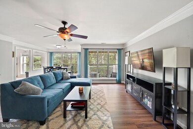 46862 Clarion Terrace unit 303, Sterling, VA 20164 - photo 6