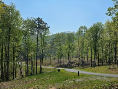 Lot 105 Twisted Oak Rd, Talking Rock, GA 30175 - photo 7