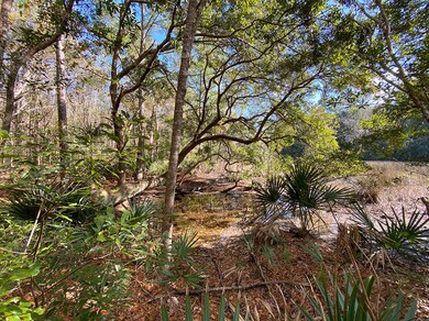 4625LazyCreek-Wadmalaw-1757
