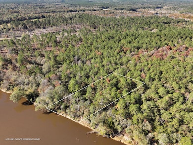 Old_Hwy_24_W_Lot_25-2