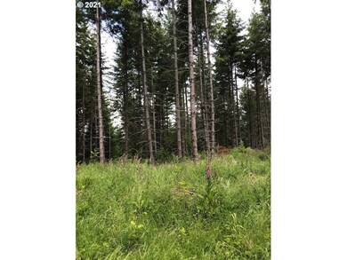 00 Cater (East) Rd, Warren, OR 97053 - photo 3