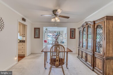 8400 Hallmark Cir, Parkville, MD 21234 - photo 5