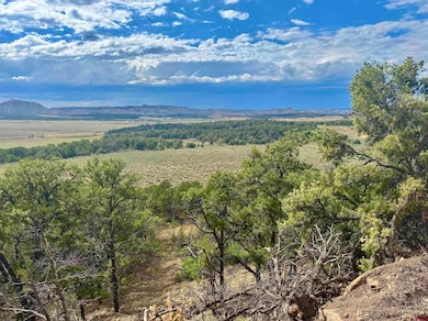 Highway 96 & 595 Hwy unit Wilderness Ranch, Regina, NM 87017 - photo 7