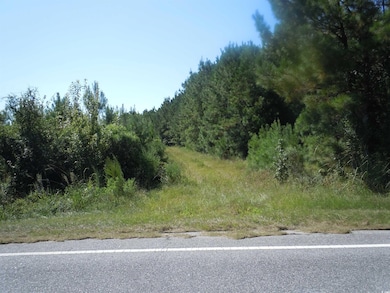 TBD Near 10547 Andrew Jackson Hwy SW, Fair Bluff, NC 28439 - photo 4