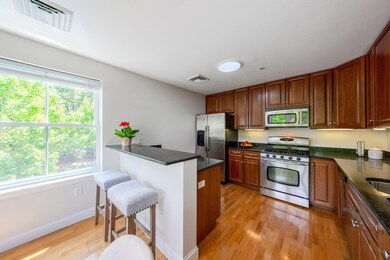 320 Rindge Ave unit 205, Cambridge, MA 02140 - photo 6